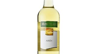 ワイン モンテラーゴ・アイレン / モンテラーゴ(MONTELAGO Airen) スペイン 白 辛口 750ml
