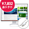 FlexScan EV2485 ホワイト USB Type-C変換ケーブルセット【EIZOダイレクト】